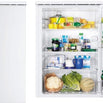 ZRG16602WA - Zanussi 60cm Wide Undercounter Larder Fridge